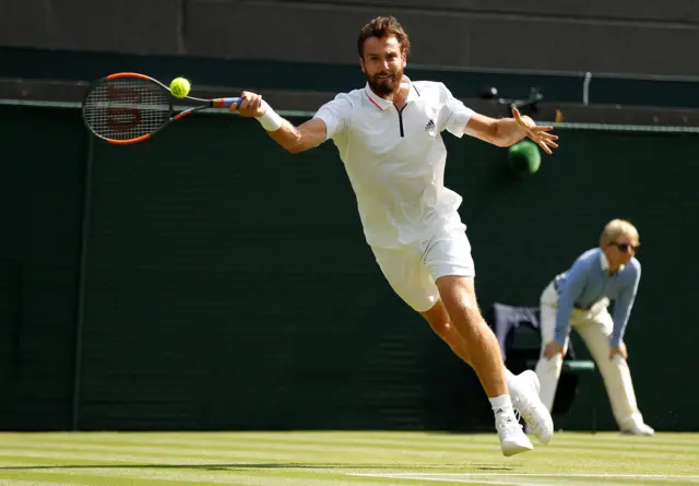 Gulbis