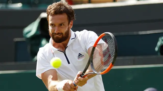 Gulbis