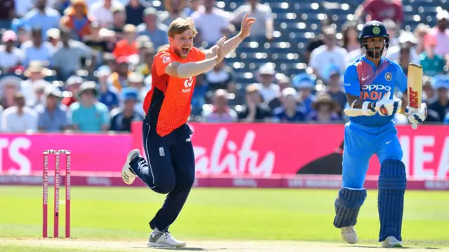 David Willey appeals