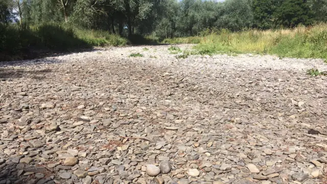 The River Teme today