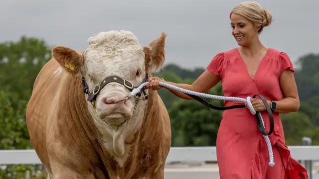 Lizzie Jones with a bull