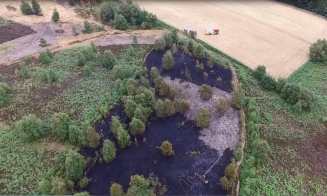 Black moorland after blaze