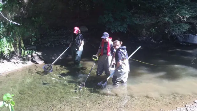 People fishing in the river