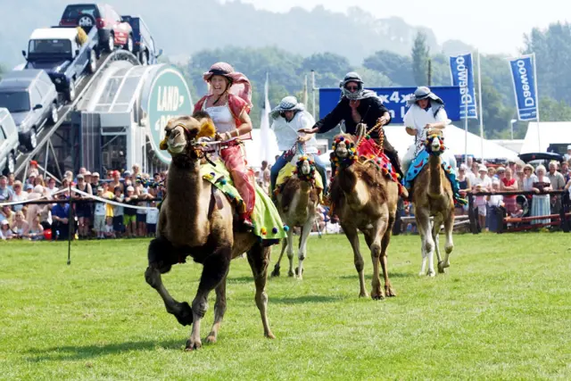 bakewell show