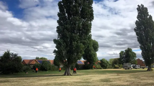 Workers pick up rubbish in Pickering Park