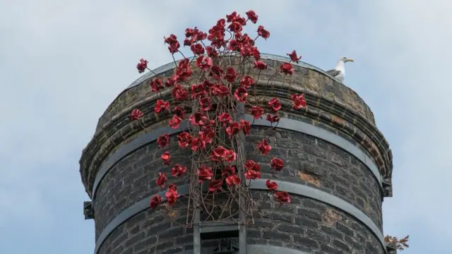 Ceramic poppies on a bottle kiln at Middleport