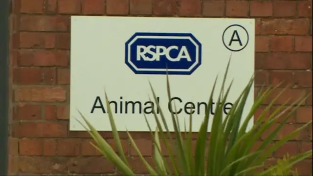 RSPCA animal centre