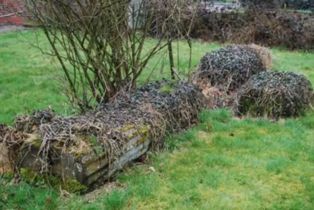 Memorial stones