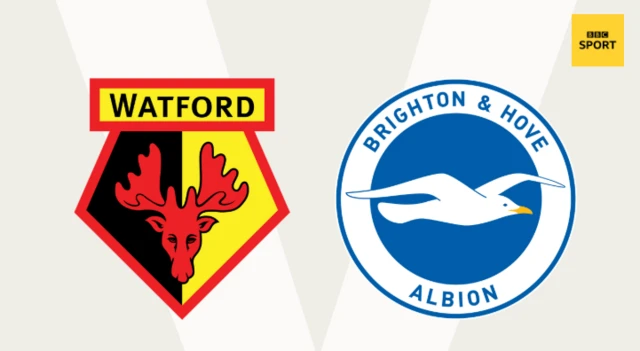 Watford v Brighton graphic