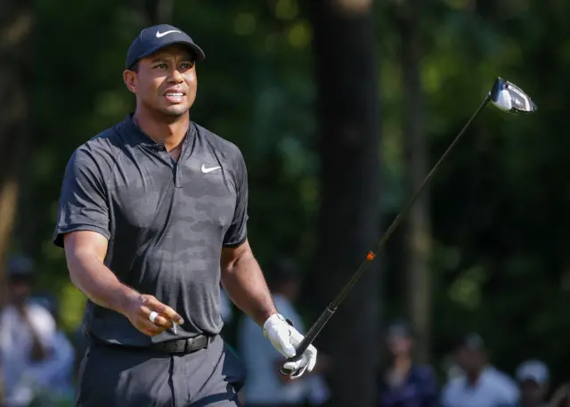 Woods