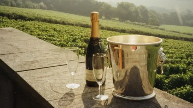 Vineyards in Somerset are doing well