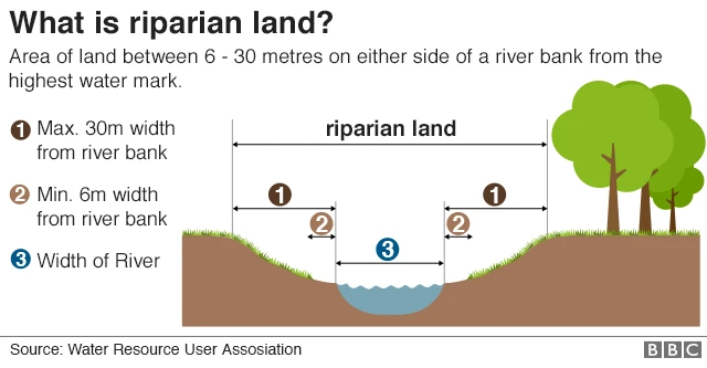 Riparian