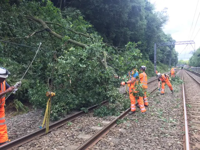 Tree on line