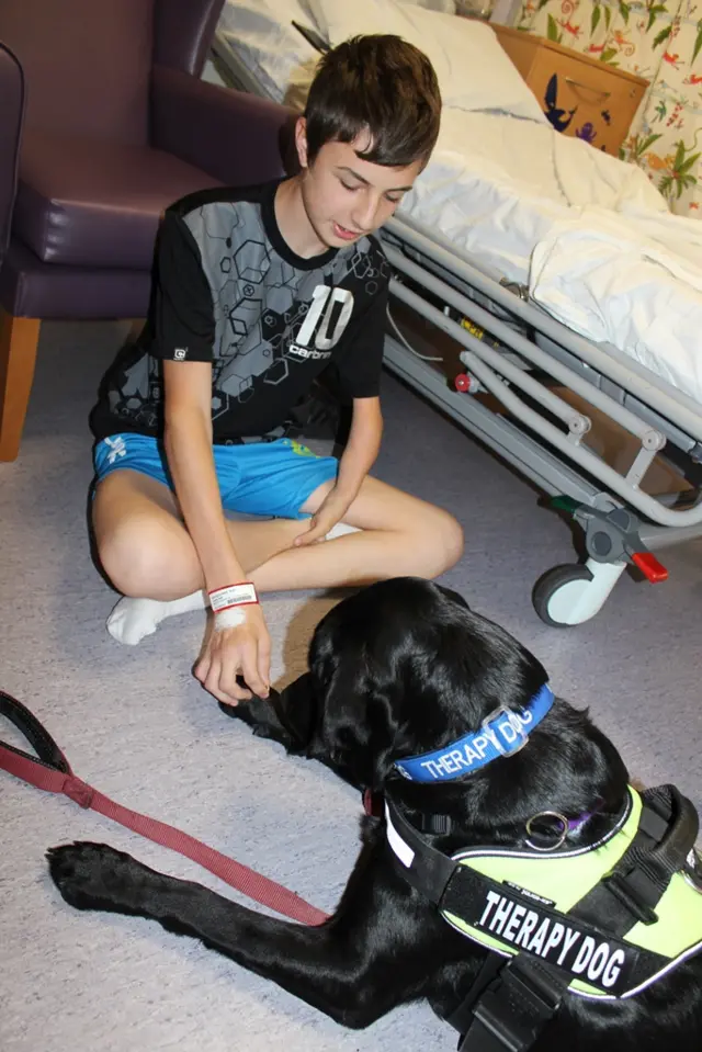 A patient called Lewis meets Lewis the therapy dog