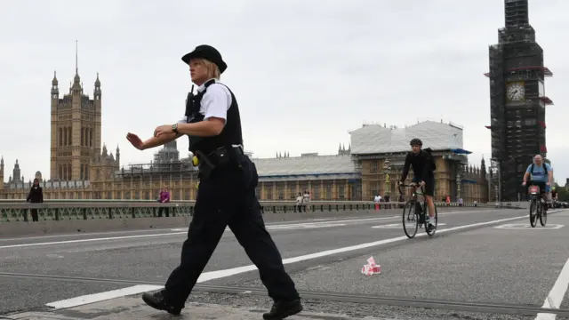 Police on Westminster Bridge