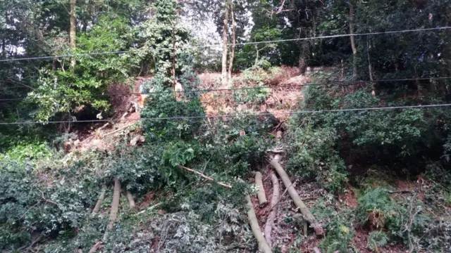 Landslip and fallen trees on the Cross City railway line