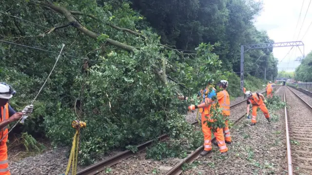 Tree on line