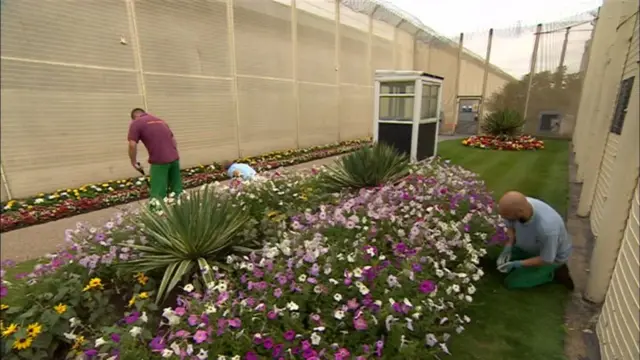 Gardens in the prison