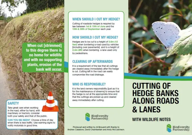 Strimming guidelines