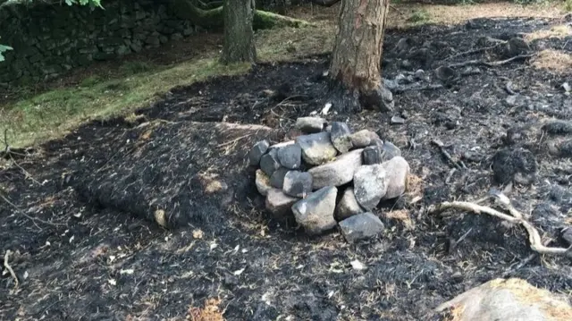 Remains of the camp fire