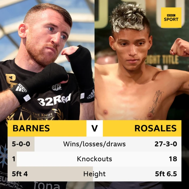 Barnes v Rosales