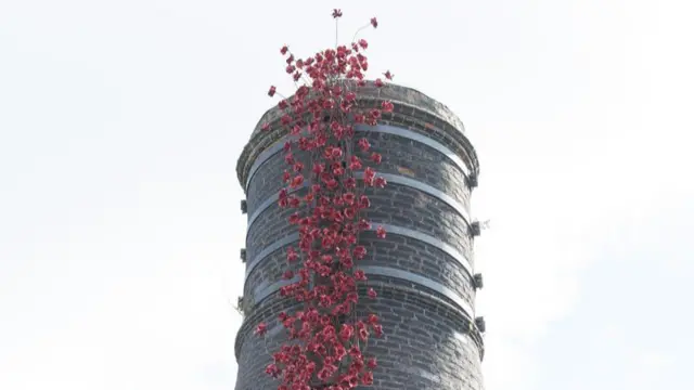 The poppies at Middleport Pottery