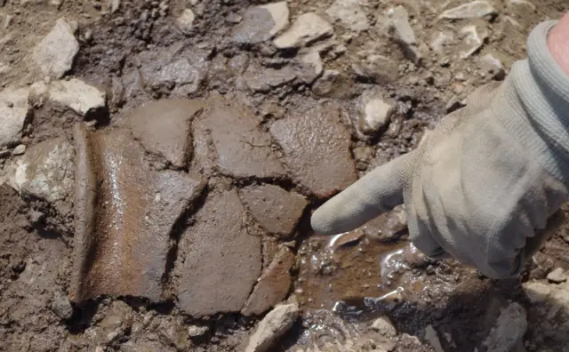 Pottery sherds in muddy ground