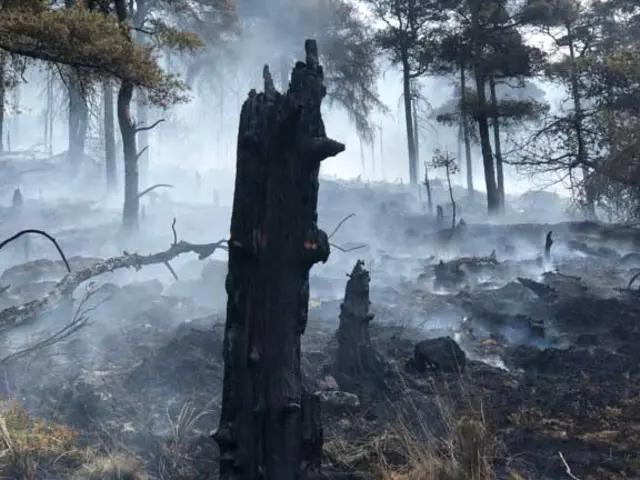 Moorlands fire, Staffordshire