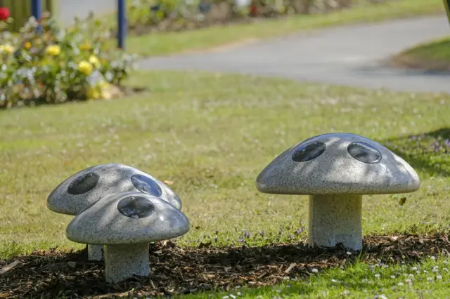 Mushroom memorial