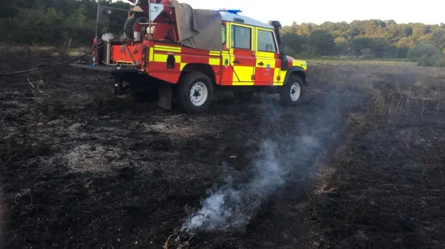 Smoke from the nature reserve