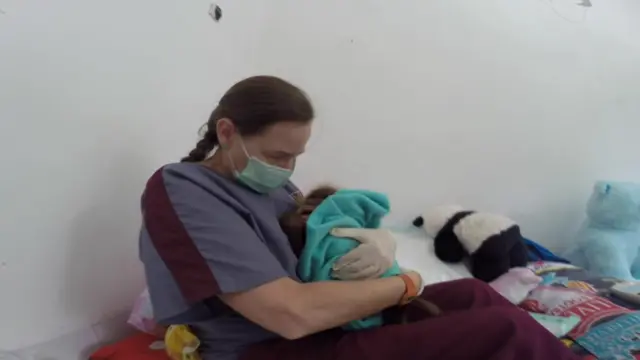 Sarah caring for orangutan