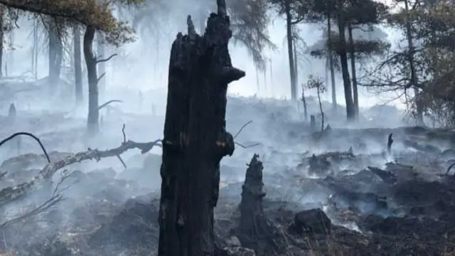 The damage from the huge fire on the Roaches