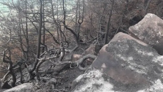 Scorched area of The Roaches