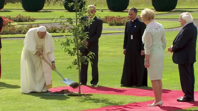 Pope Francis plants a tree at Áras an Uachtaráin