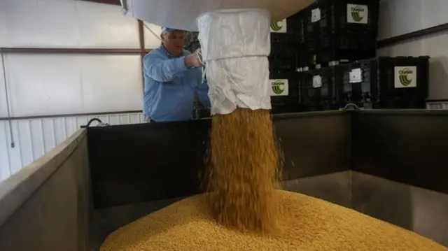 Soybean farmer