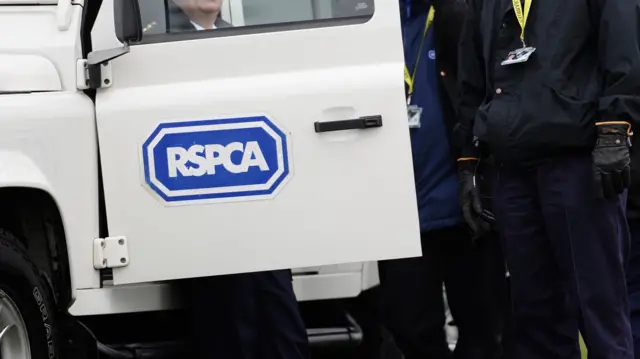 RSPCA