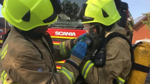 Cat with firefighters