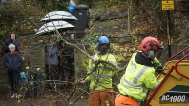 Two men feed a tree into a chipper