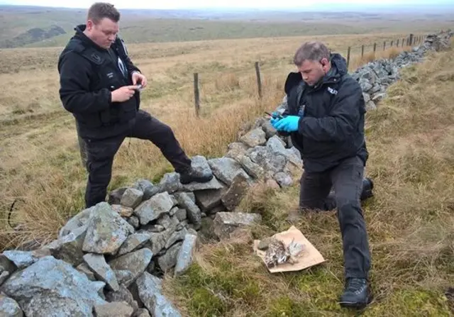 Police photographing a dead owl