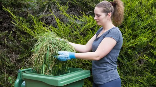 Woman putting garden waste in a bin