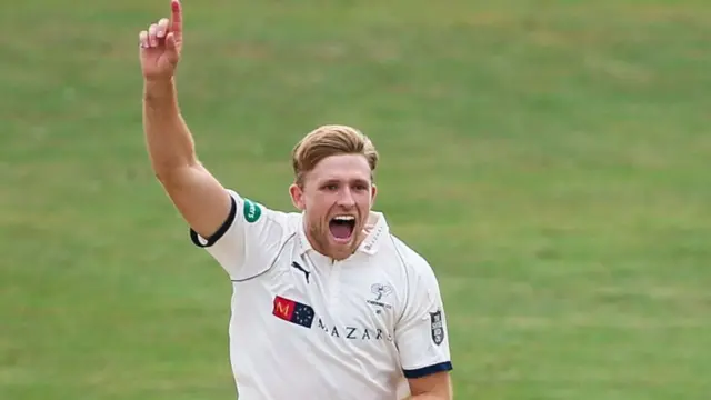 David Willey