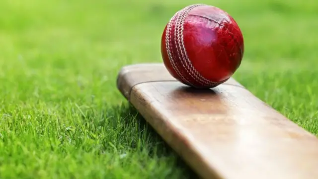 A cricket ball on a bat