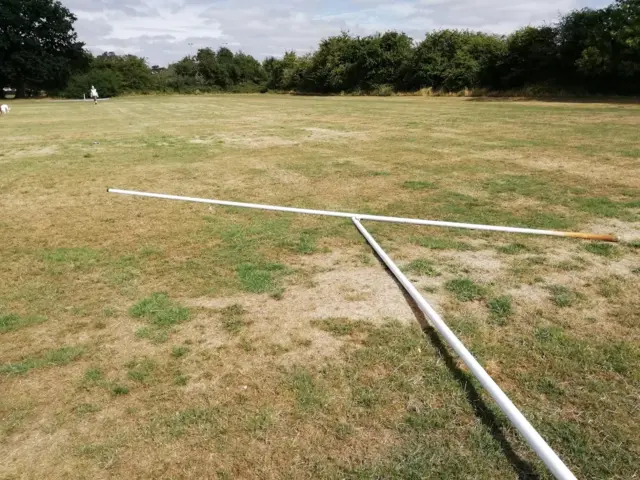 rugby posts