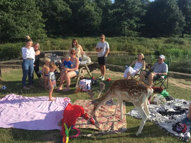 deer bradgate