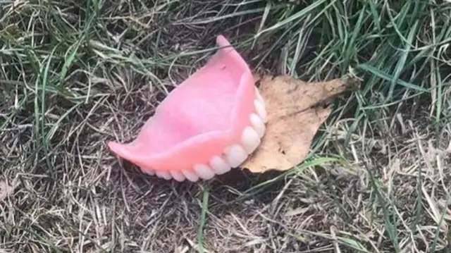 False teeth