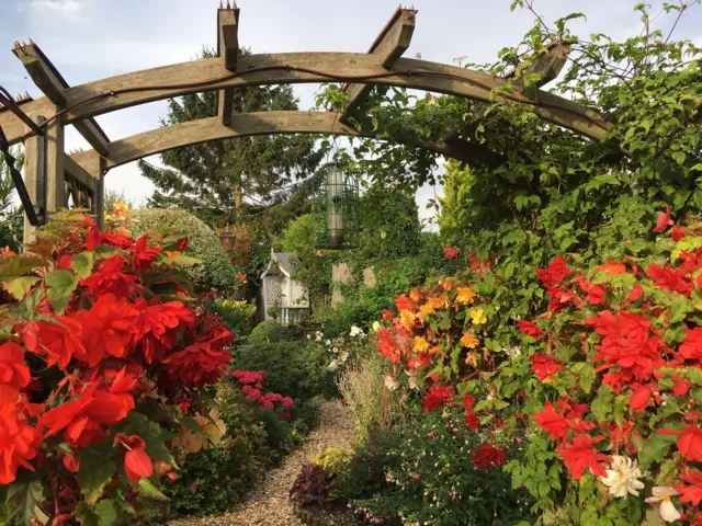 Red flowers in the garden