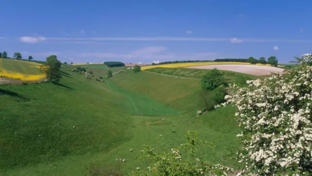Rolling hills of the Yorkshire Wolds.