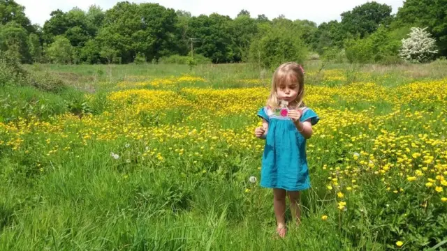 A young girl in a field