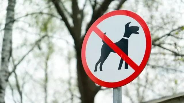 A sign banning dogs