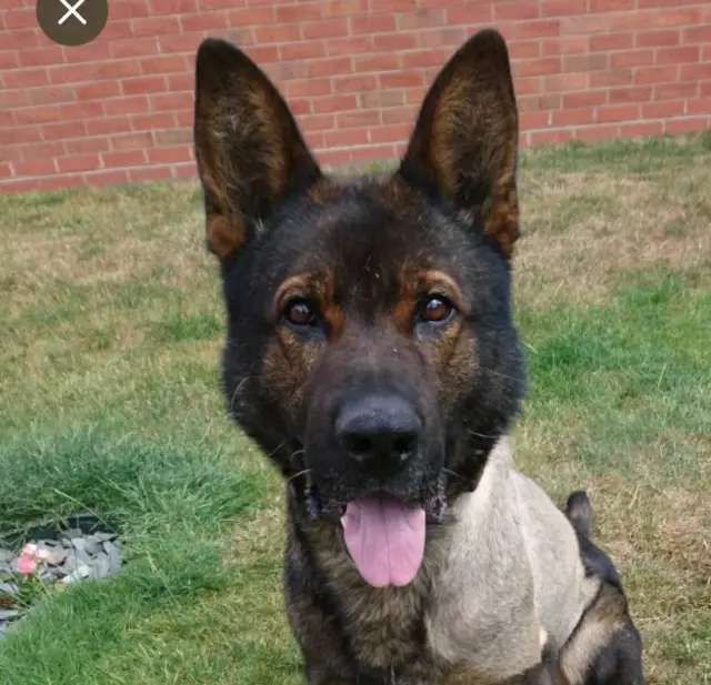 PD Axle